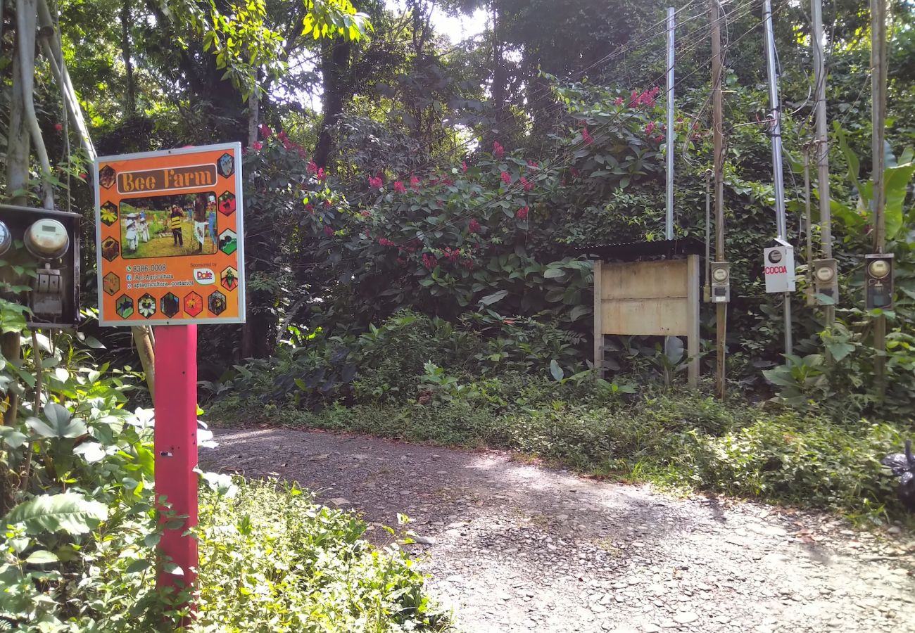 Ferienhaus in Cocles - Cocoa Casa en el Bosque